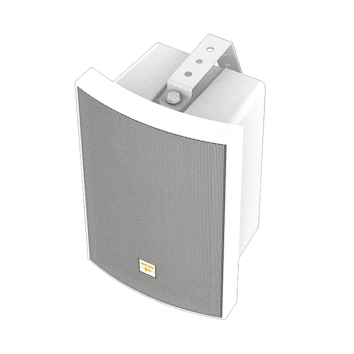 Network Cabinet Speaker – GEN-6011A03