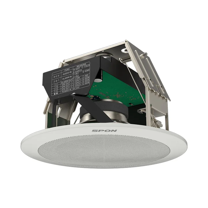 Network Ceiling Speaker GEN-6213A01